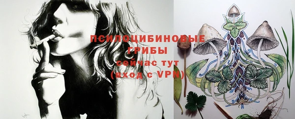 гашик Абдулино