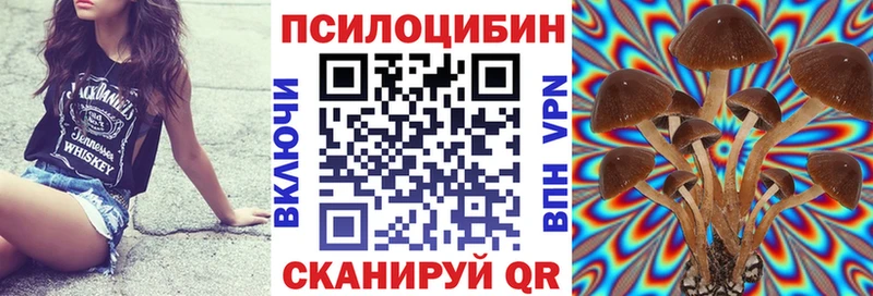Псилоцибиновые грибы Psilocybe  Химки 