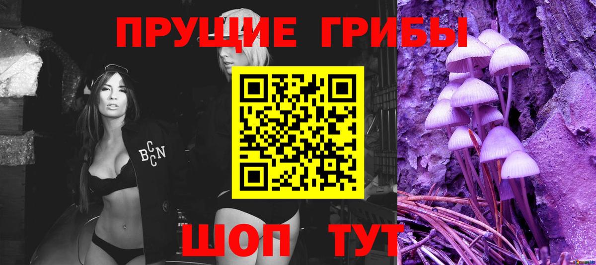 Псилоцибиновые грибы мицелий  Вход с VPN  закладки  Химки 