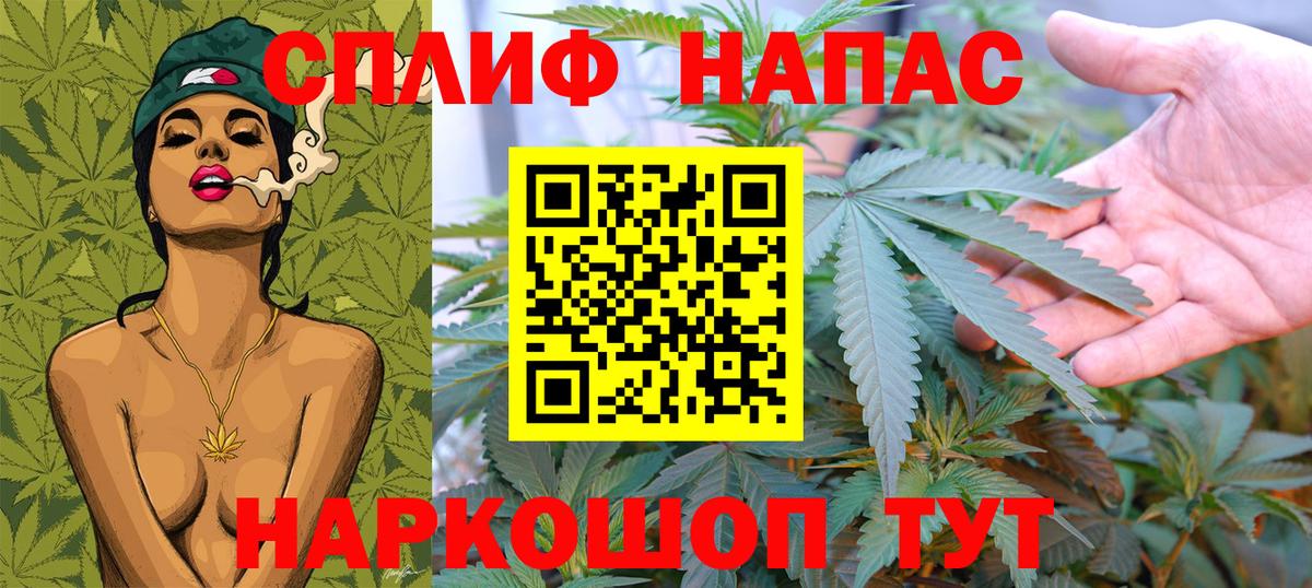 Каннабис индика Химки